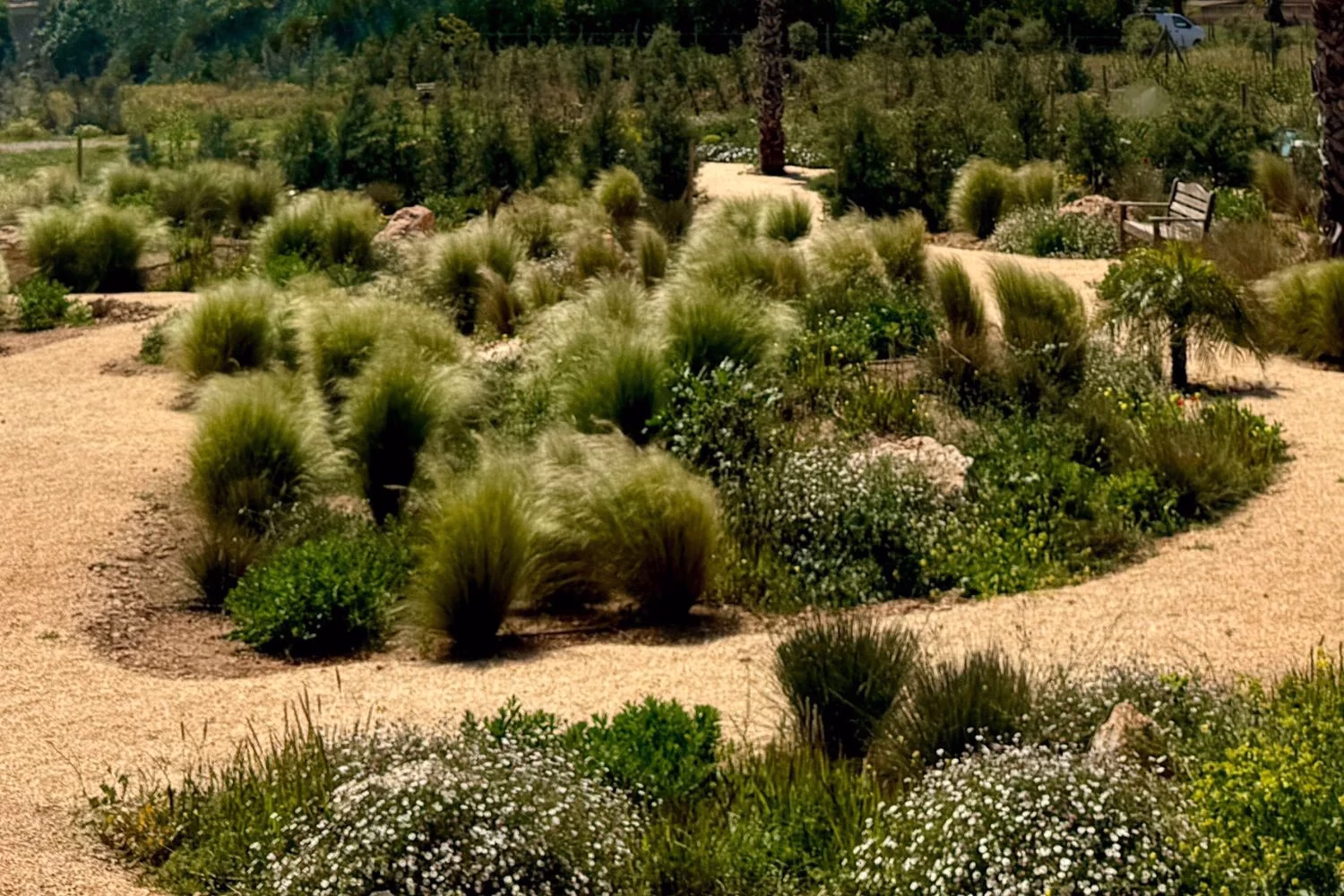 GARDEN LANDSCAPE DESIGN CAMPOS MALLORCA SESTEPA DESIGN FINCA GARDEN