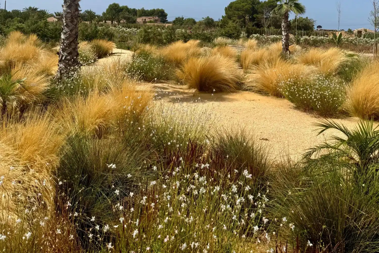 GARDEN LANDSCAPE DESIGN CAMPOS MALLORCA SESTEPA DESIGN FINCA GARDEN
