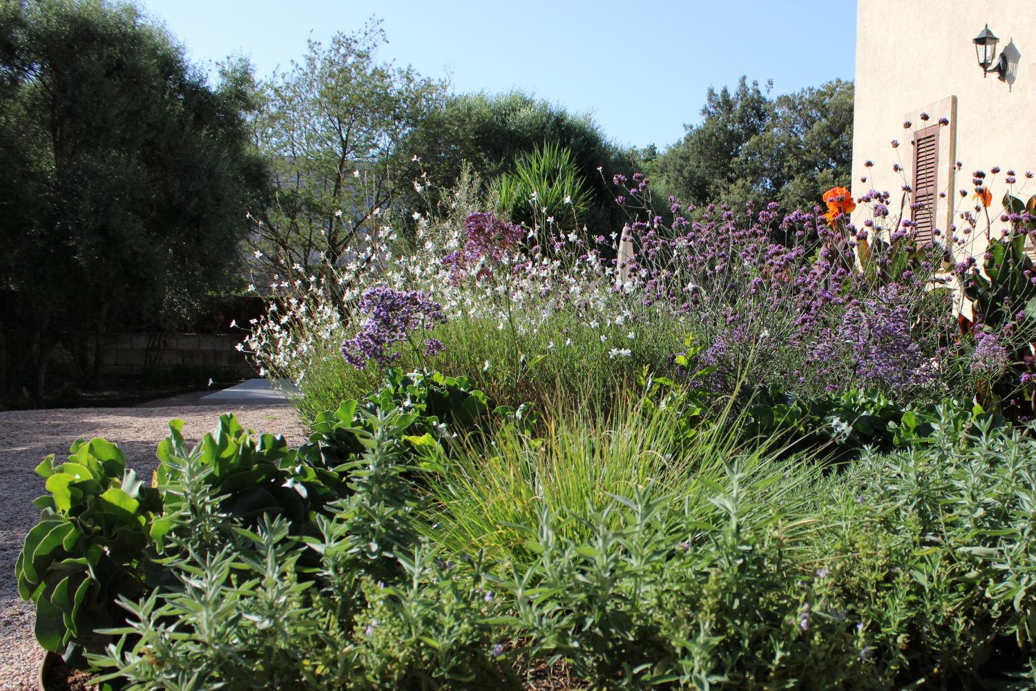 GARDEN LANDSCAPE DESIGN CRESTATX MALLORCA SESTEPA DESIGN