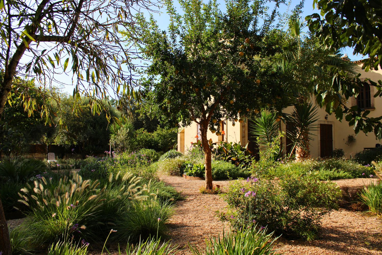 Regenerative dry garden design with mineral layers in Crestatx, Mallorca