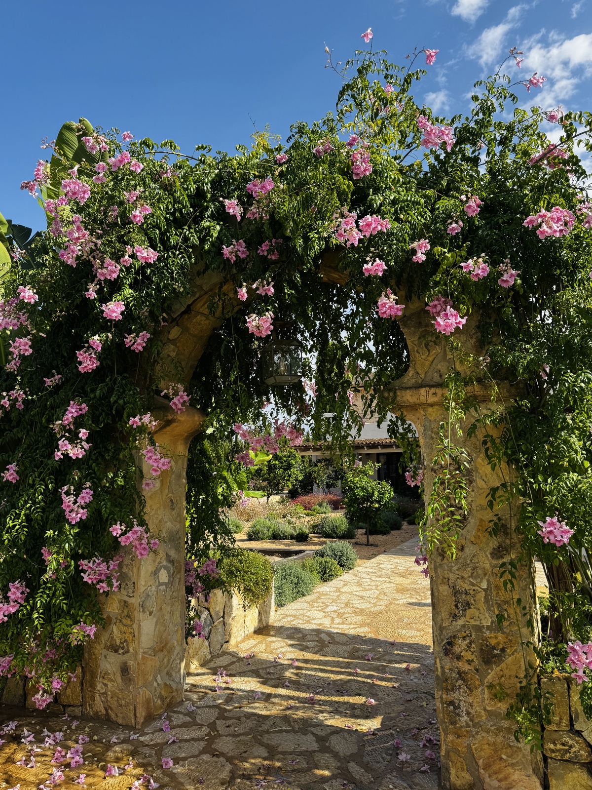 Garden Design Binissalem, Mallorca — S'Estepa Design