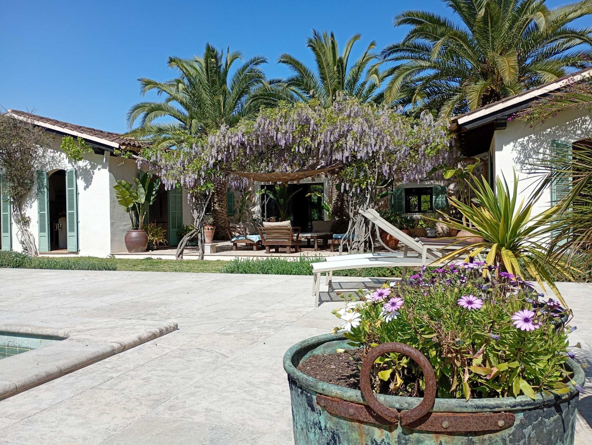 Binissalem Garden — Garden Design Binissalem, Mallorca, Image 7