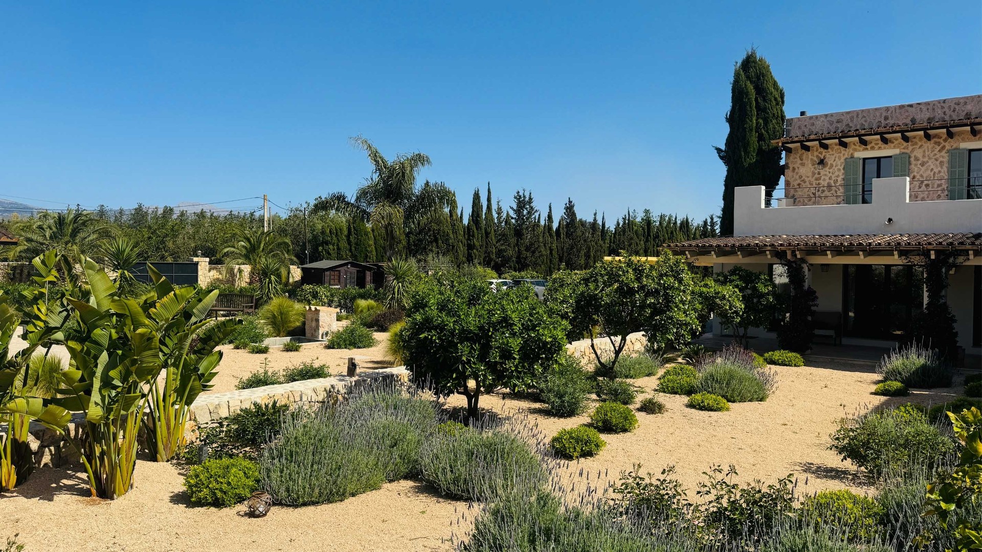 Binissalem Garden — Garden Design Detail, Binissalem, Mallorca