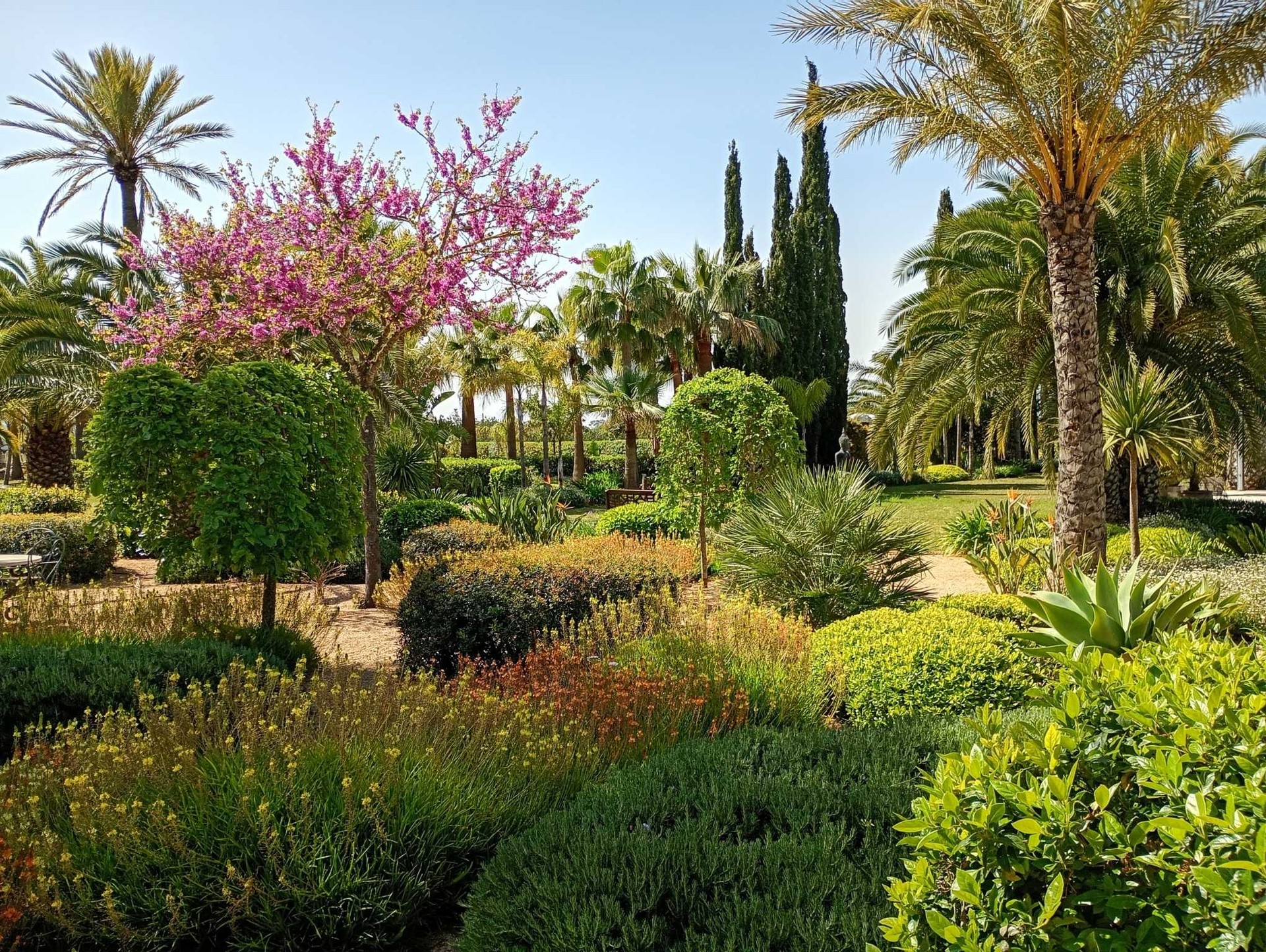 Binissalem Garden — Garden Design Binissalem, Mallorca, S'Estepa Design
