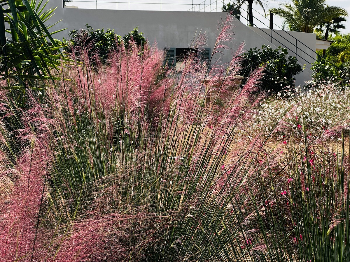 GARDEN LANDSCAPE DESIGN BINISSALEM MALLORCA SESTEPA DESIGN — Binissalem Garden