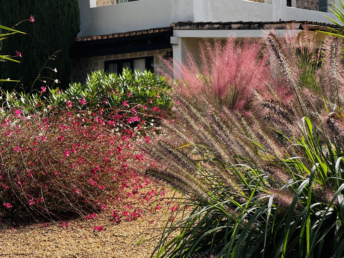 GARDEN LANDSCAPE DESIGN BINISSALEM MALLORCA SESTEPA DESIGN — Binissalem Garden
