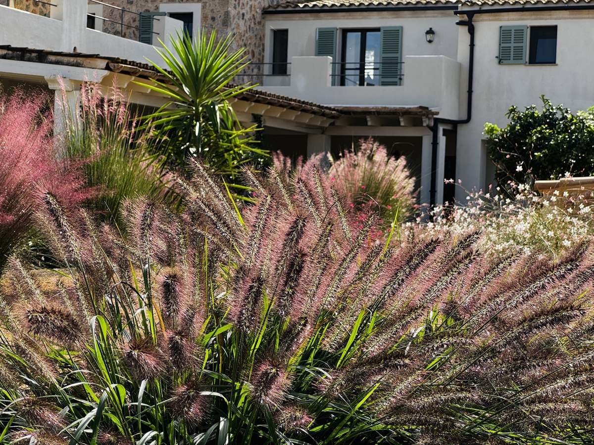 GARDEN LANDSCAPE DESIGN BINISSALEM MALLORCA SESTEPA DESIGN — Binissalem Garden