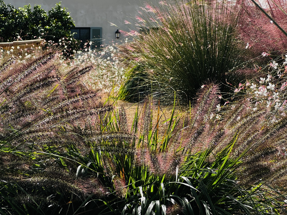 GARDEN LANDSCAPE DESIGN BINISSALEM MALLORCA SESTEPA DESIGN — Binissalem Garden
