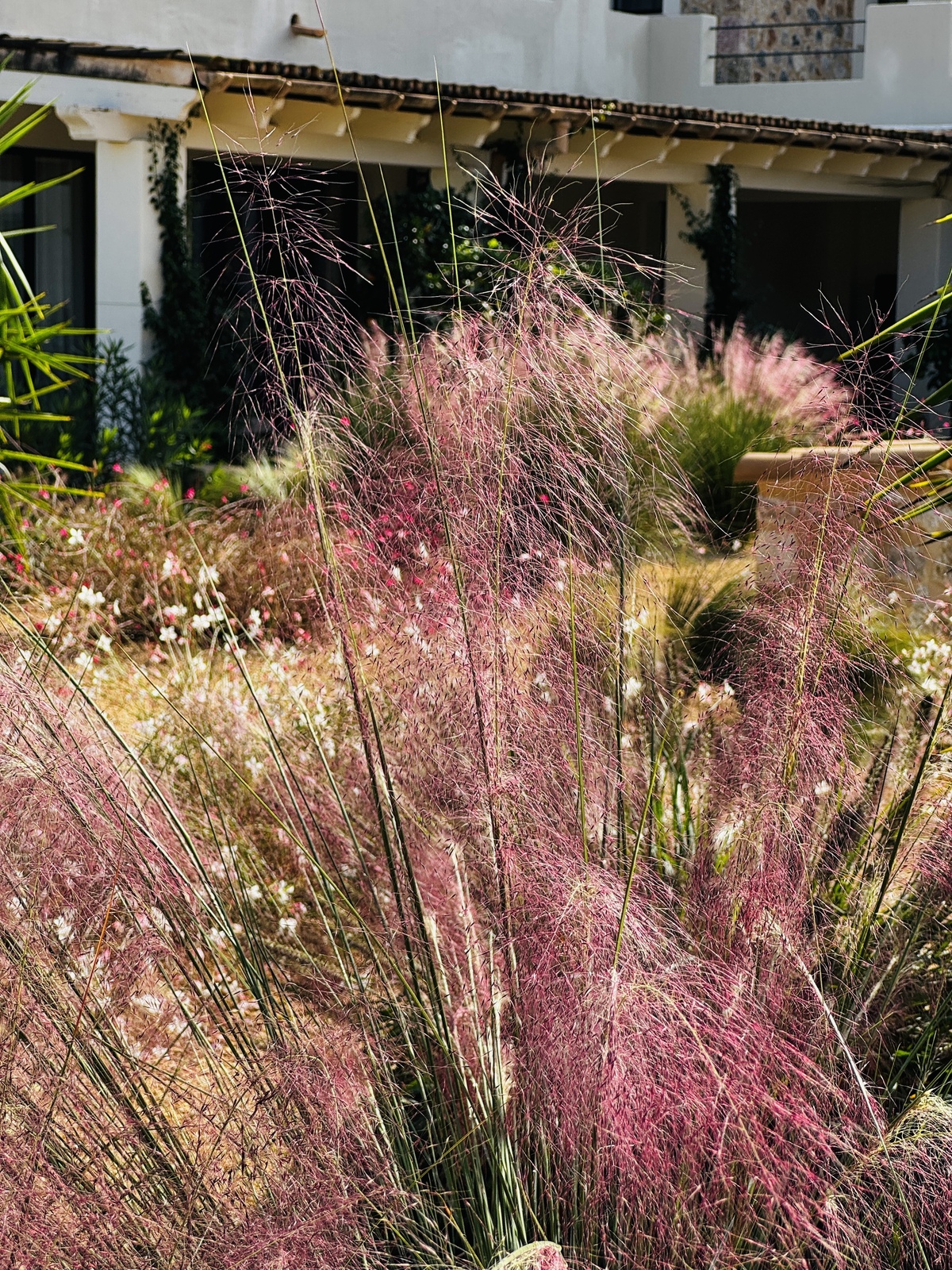 GARDEN LANDSCAPE DESIGN BINISSALEM MALLORCA SESTEPA DESIGN — Binissalem Garden