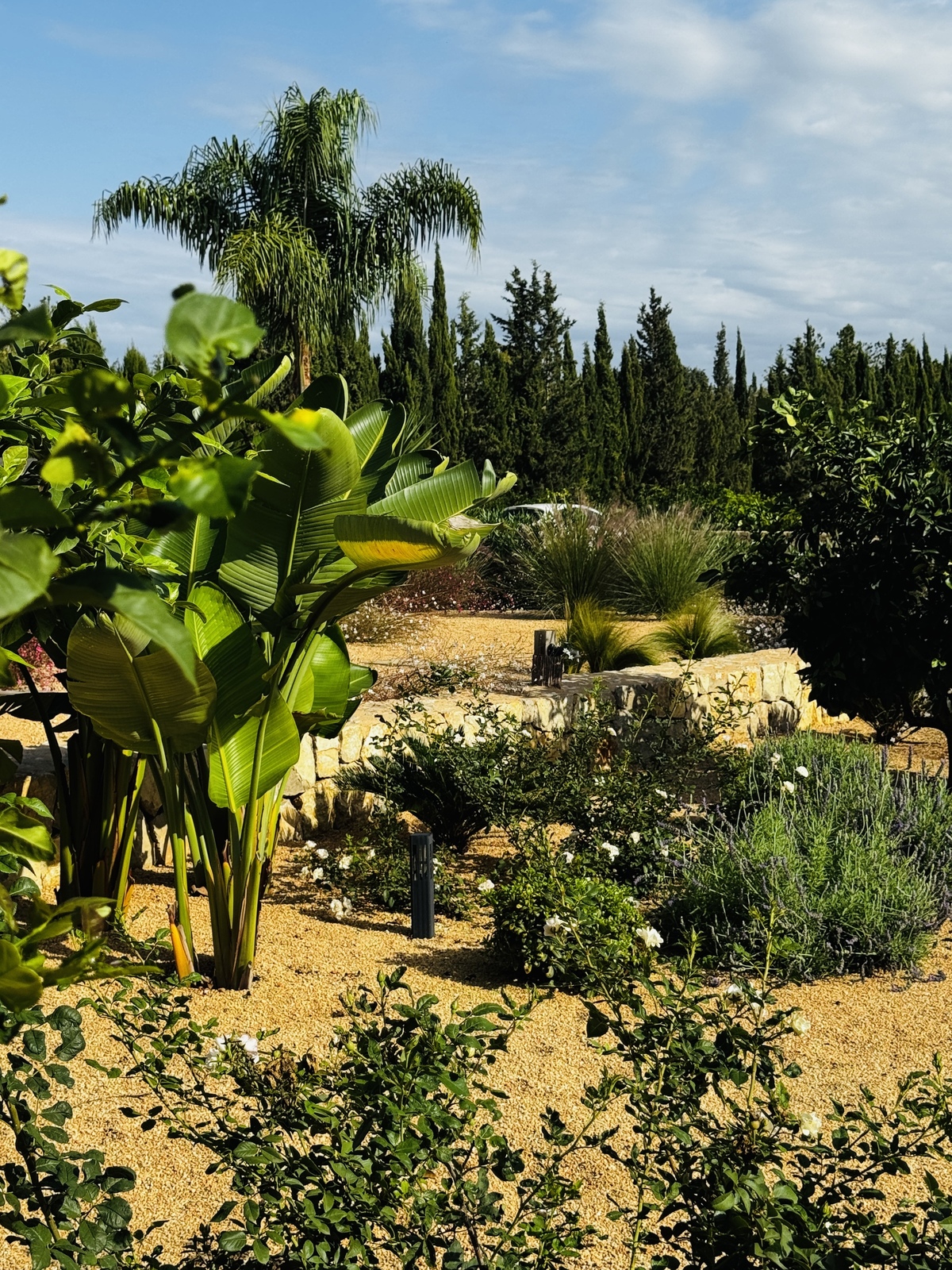 GARDEN LANDSCAPE DESIGN BINISSALEM MALLORCA SESTEPA DESIGN — Binissalem Garden