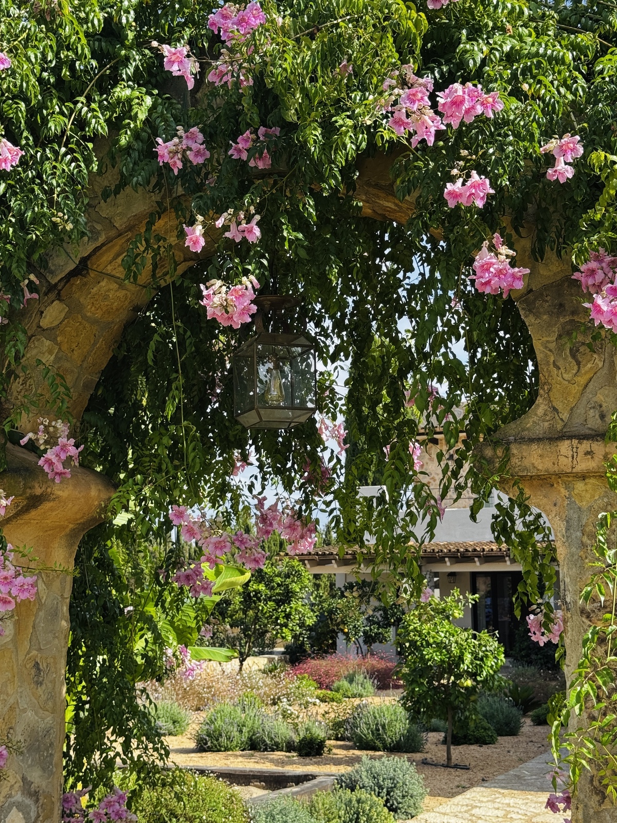 GARDEN LANDSCAPE DESIGN BINISSALEM MALLORCA SESTEPA DESIGN — Binissalem Garden