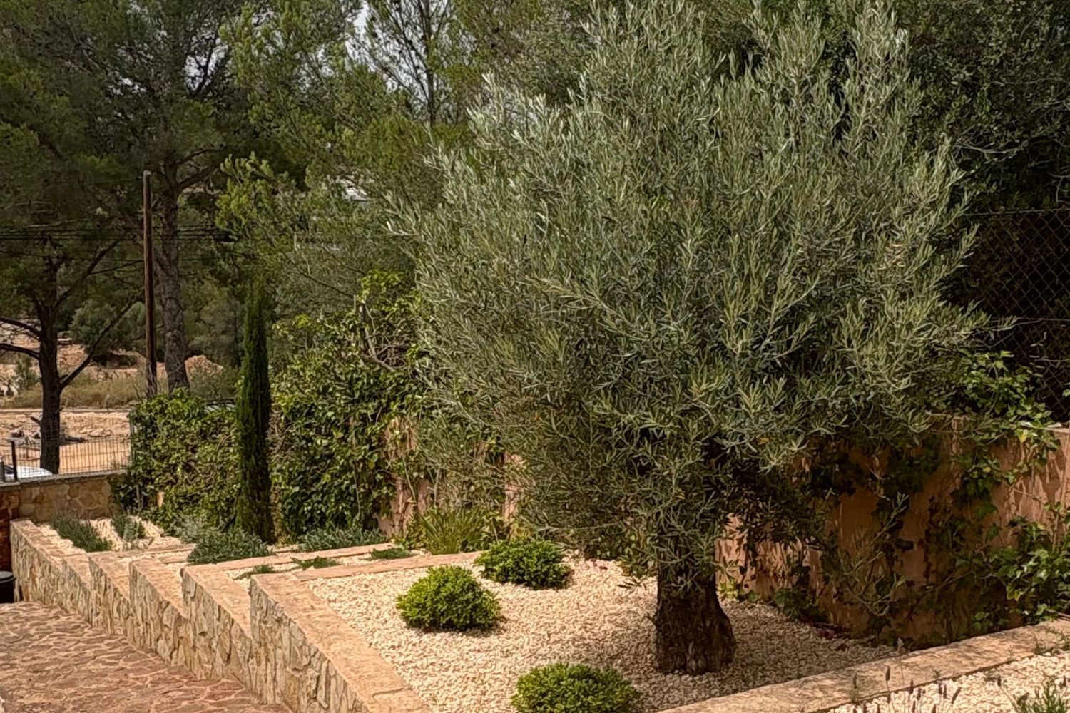 GARDEN LANDSCAPE DESIGN BUNYOLA MALLORCA SESTEPA DESIGN — Bunyola Terraces
