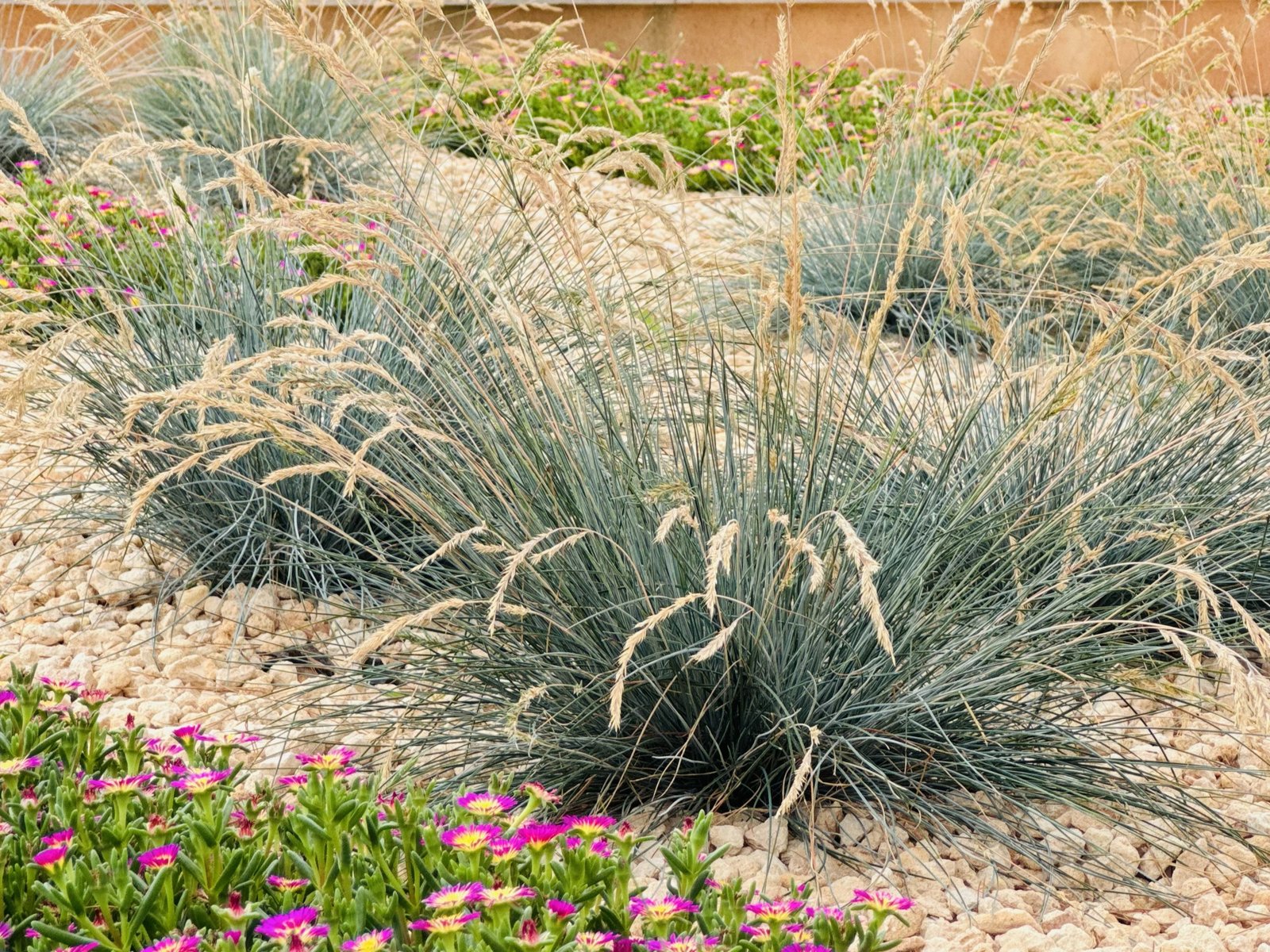 Bunyola — Garden Design Bunyola, Mallorca, Image 6