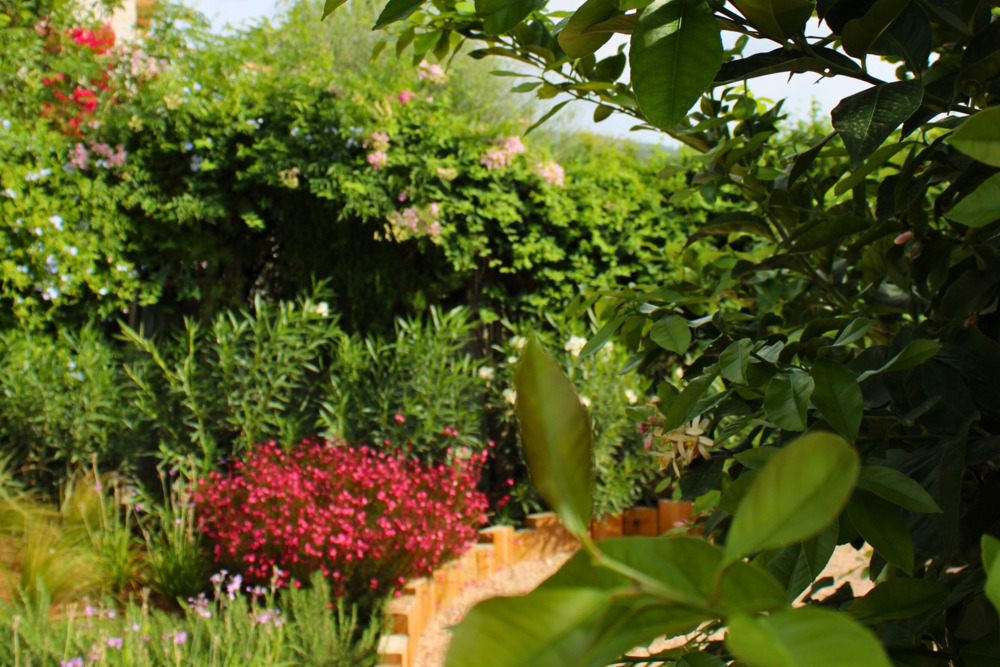 GARDEN LANDSCAPE DESIGN CAMPANET MALLORCA SESTEPA DESIGN — Campanet Sanctuary