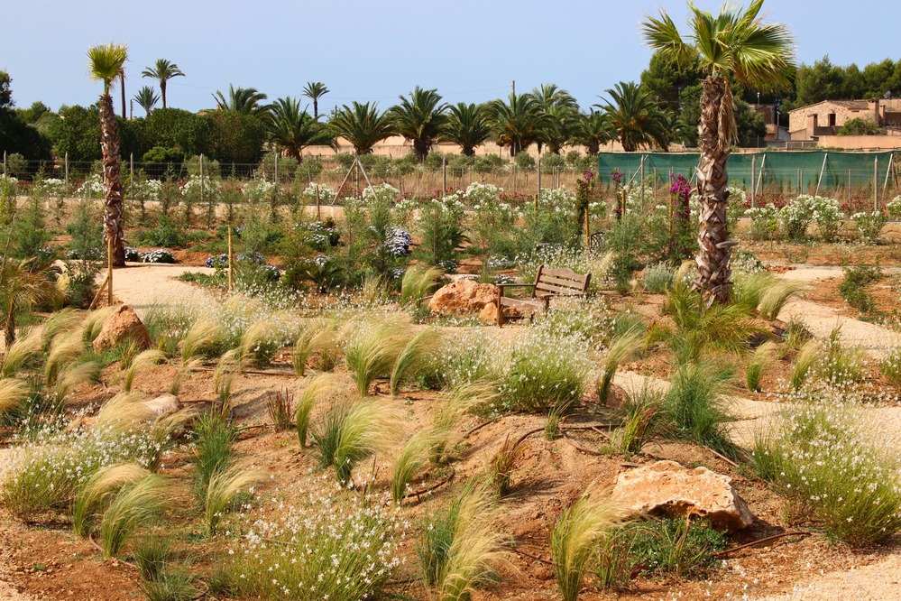 Finca Garden Campos detail 16