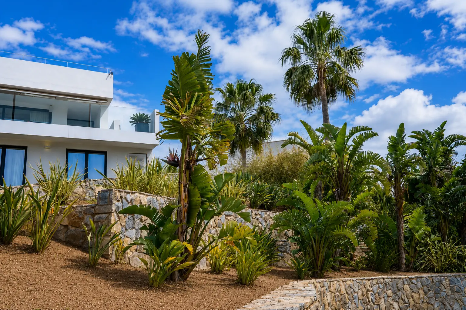 Costa de la Calma — Garden Design Costa de la Calma, Calviá, Mallorca