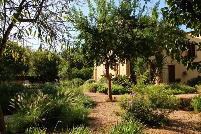 Beyond the Drought: Lush, Regenerative Landscapes