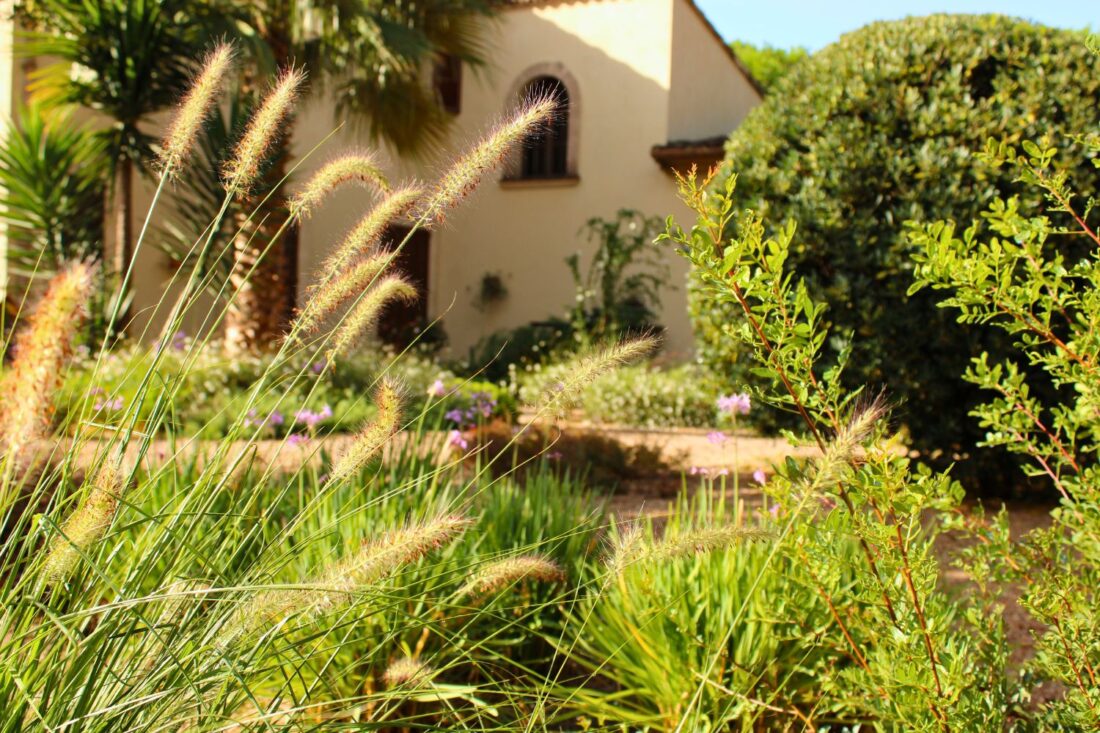 GARDEN LANDSCAPE DESIGN CRESTATX, SA POBLA MALLORCA SESTEPA DESIGN — Transformación Crestatx