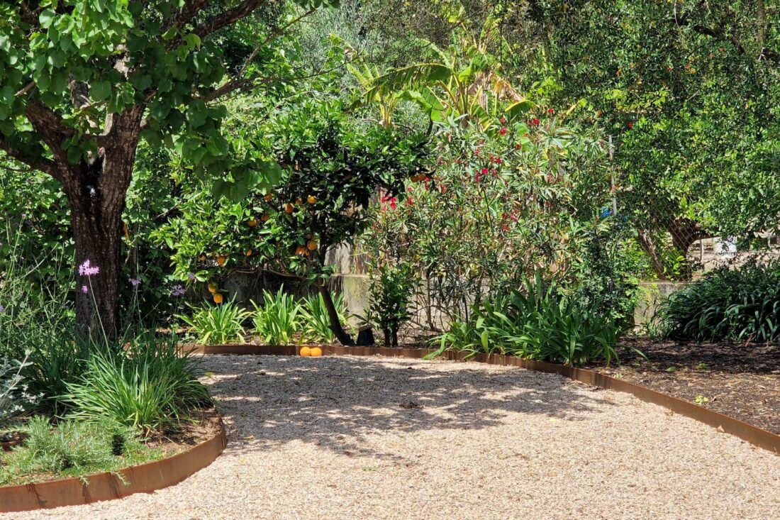 GARDEN LANDSCAPE DESIGN CRESTATX, SA POBLA MALLORCA SESTEPA DESIGN — Transformación Crestatx