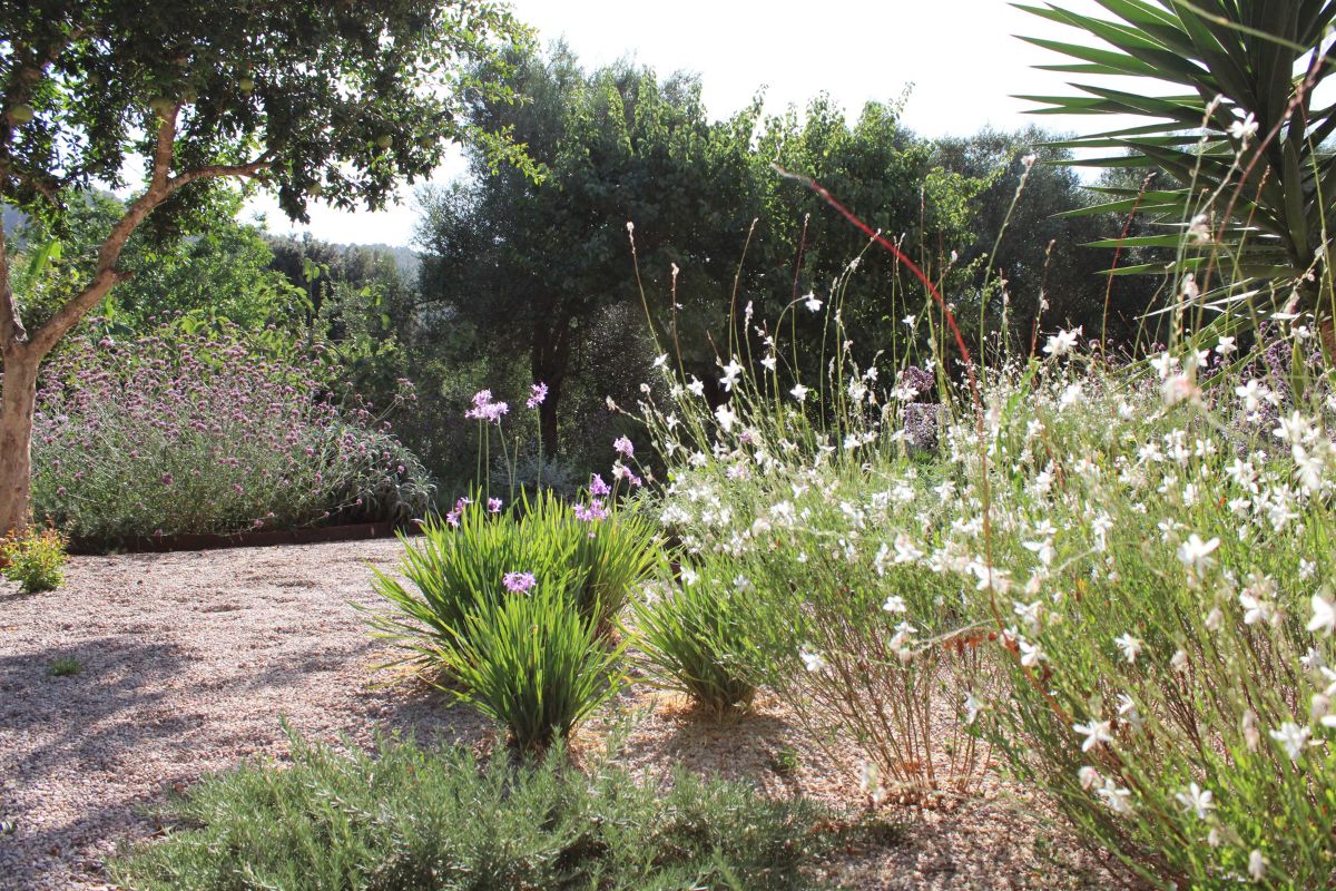 GARDEN LANDSCAPE DESIGN CRESTATX, SA POBLA MALLORCA SESTEPA DESIGN — Transformación Crestatx