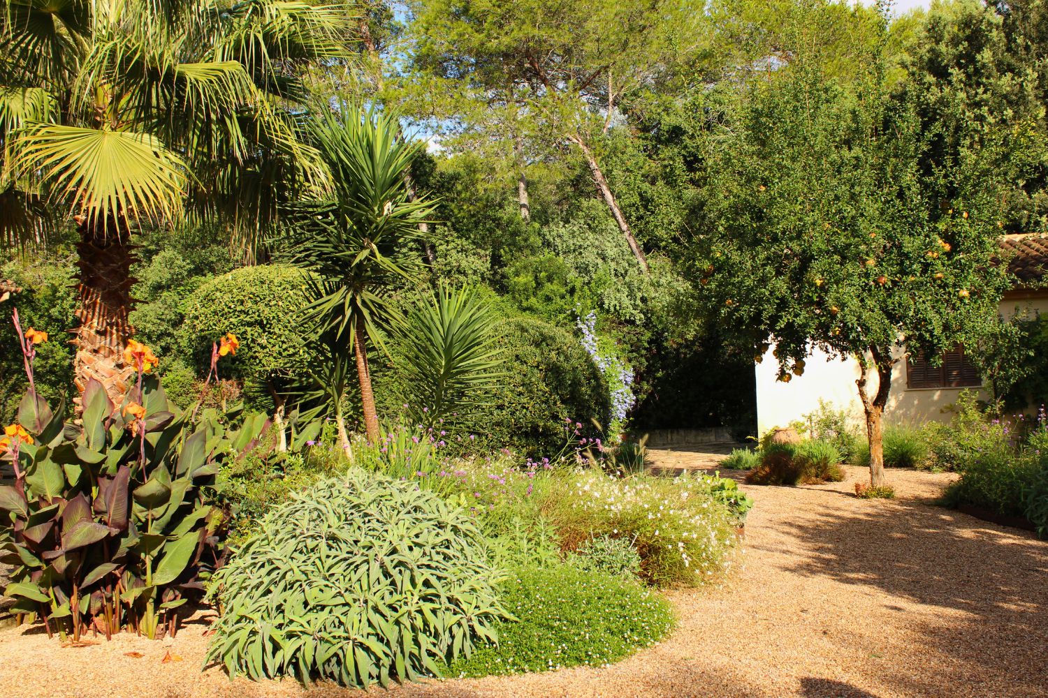 GARDEN LANDSCAPE DESIGN CRESTATX, SA POBLA MALLORCA SESTEPA DESIGN — Transformación Crestatx