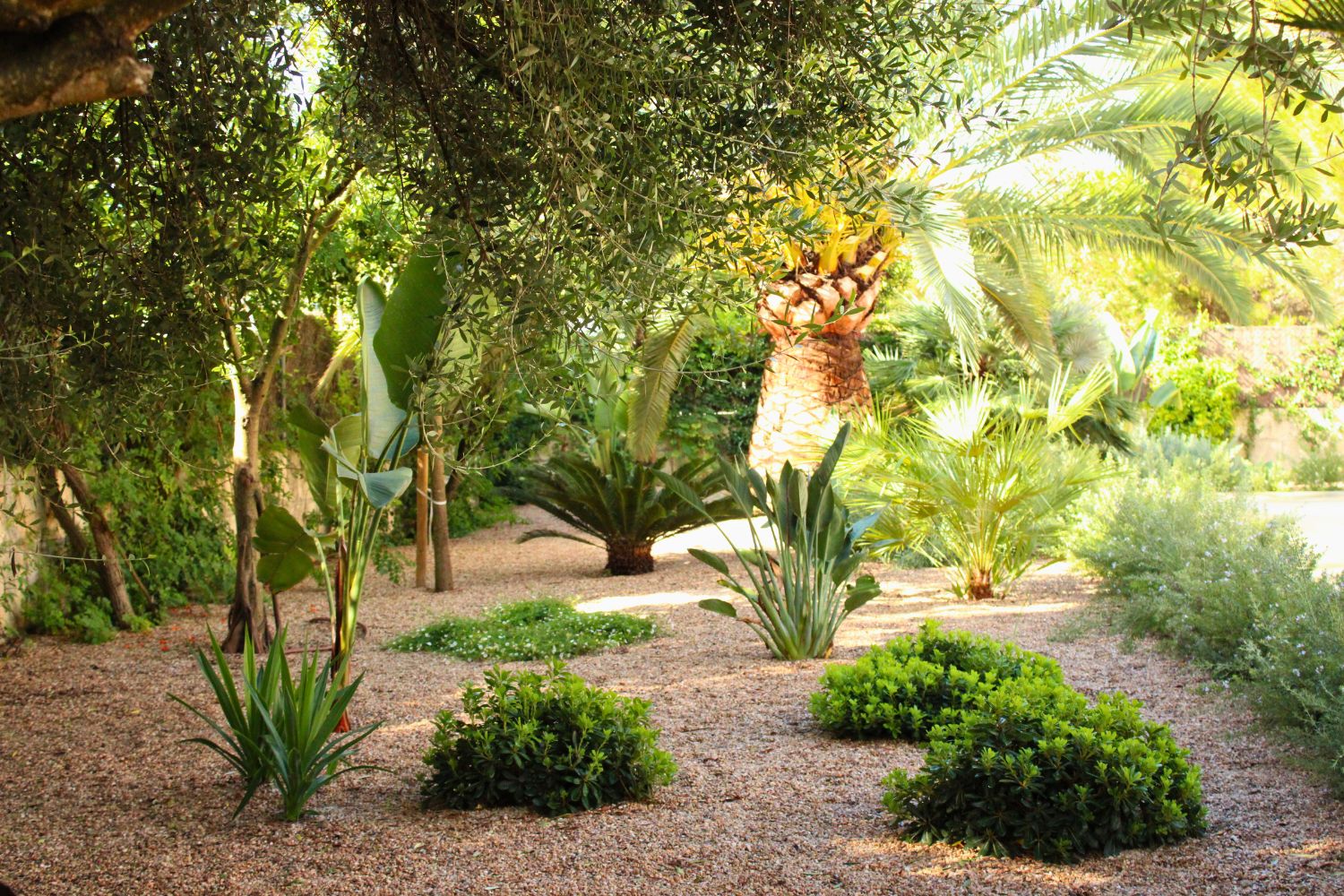 GARDEN LANDSCAPE DESIGN CRESTATX, SA POBLA MALLORCA SESTEPA DESIGN — Transformación Crestatx