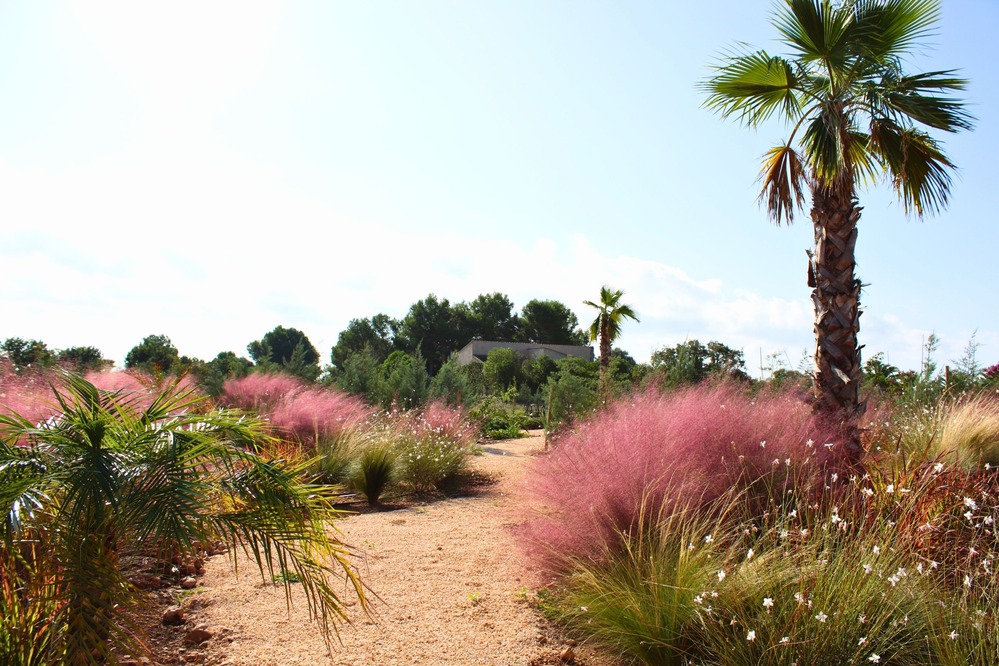 GARDEN LANDSCAPE DESIGN CAMPOS MALLORCA SESTEPA DESIGN — Finca Jardín Campos