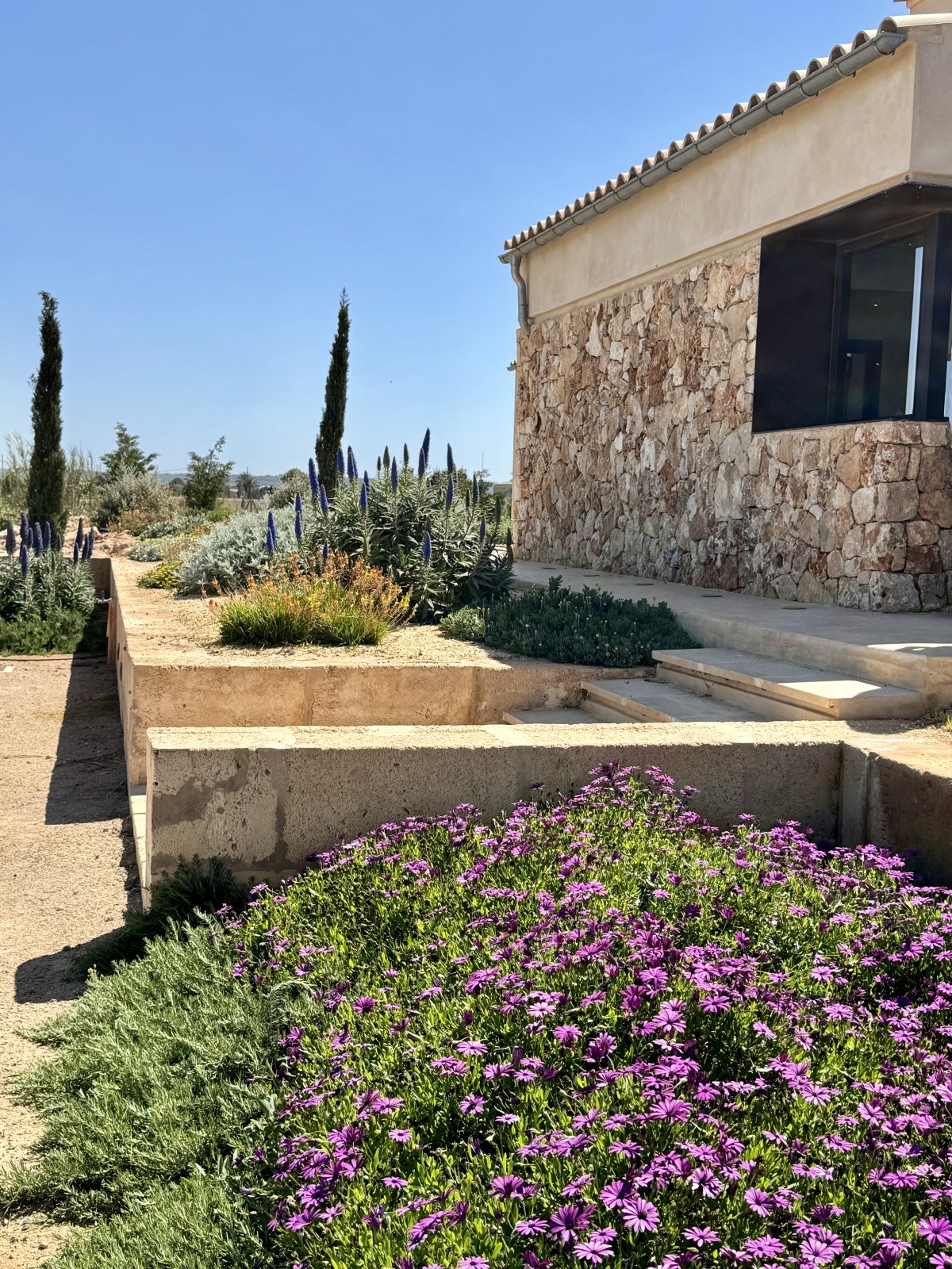 Finca Garden Campos — Garden Design Campos, Mallorca, Image 18