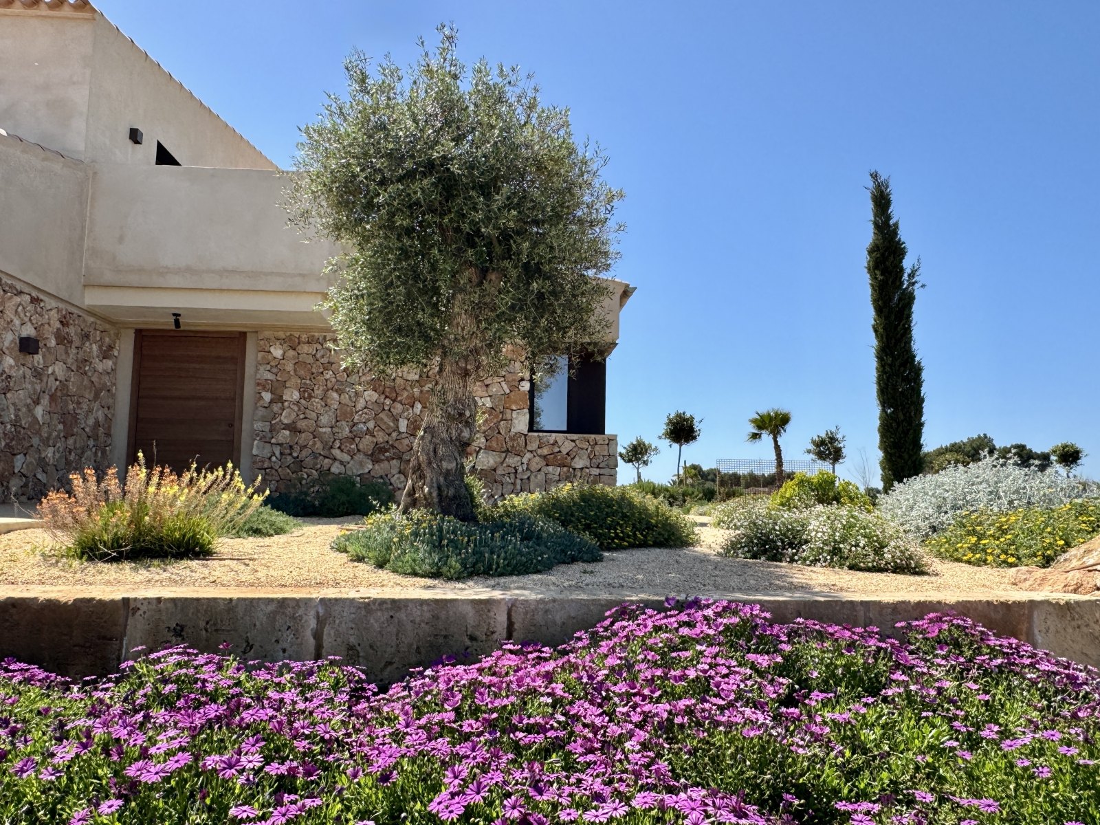 Finca Garden Campos — Garden Design Campos, Mallorca, Image 19