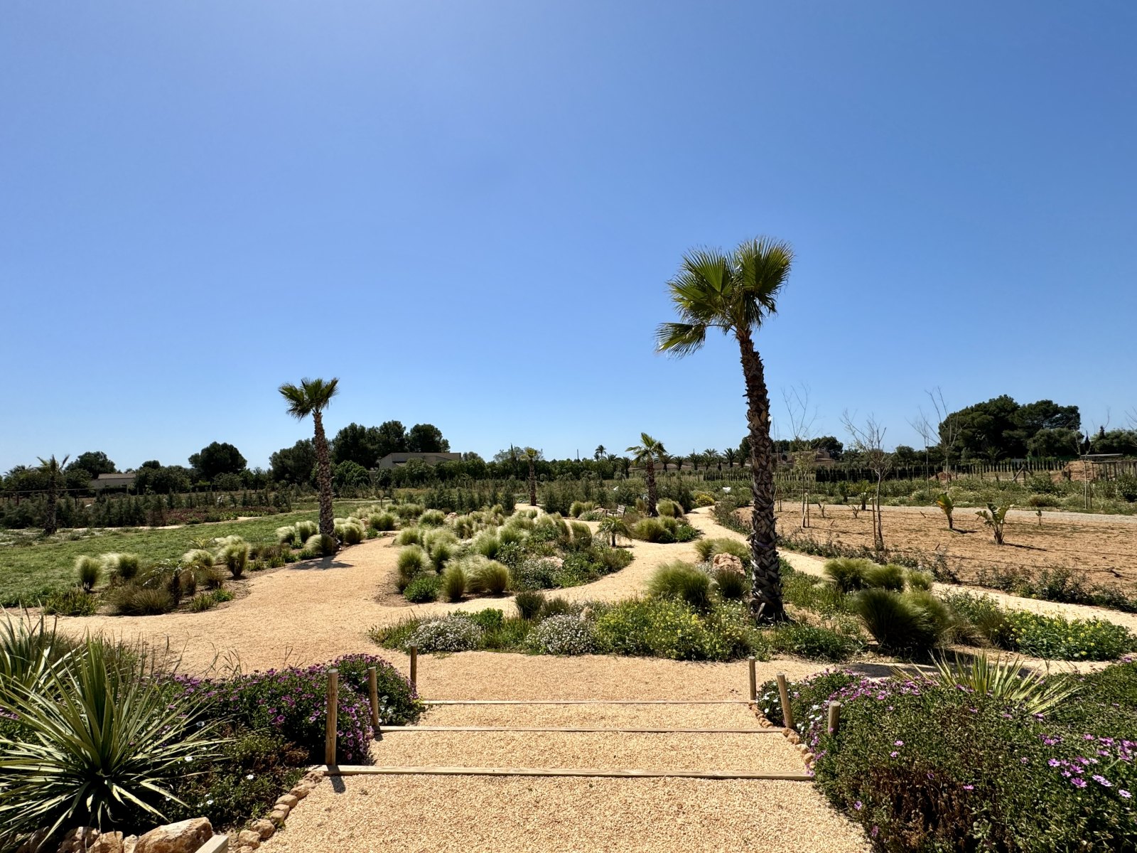 Finca Garden Campos — Garden Design Campos, Mallorca, Image 20