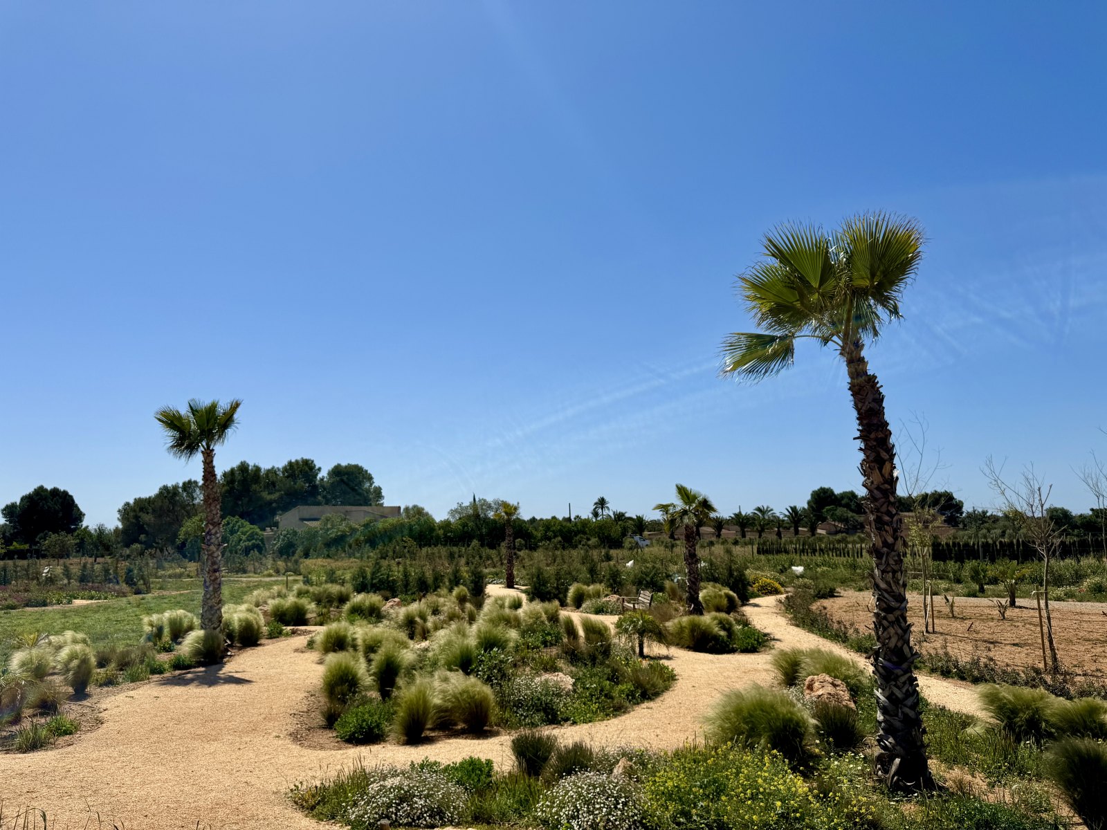 Finca Garden Campos — Garden Design Campos, Mallorca, Image 21