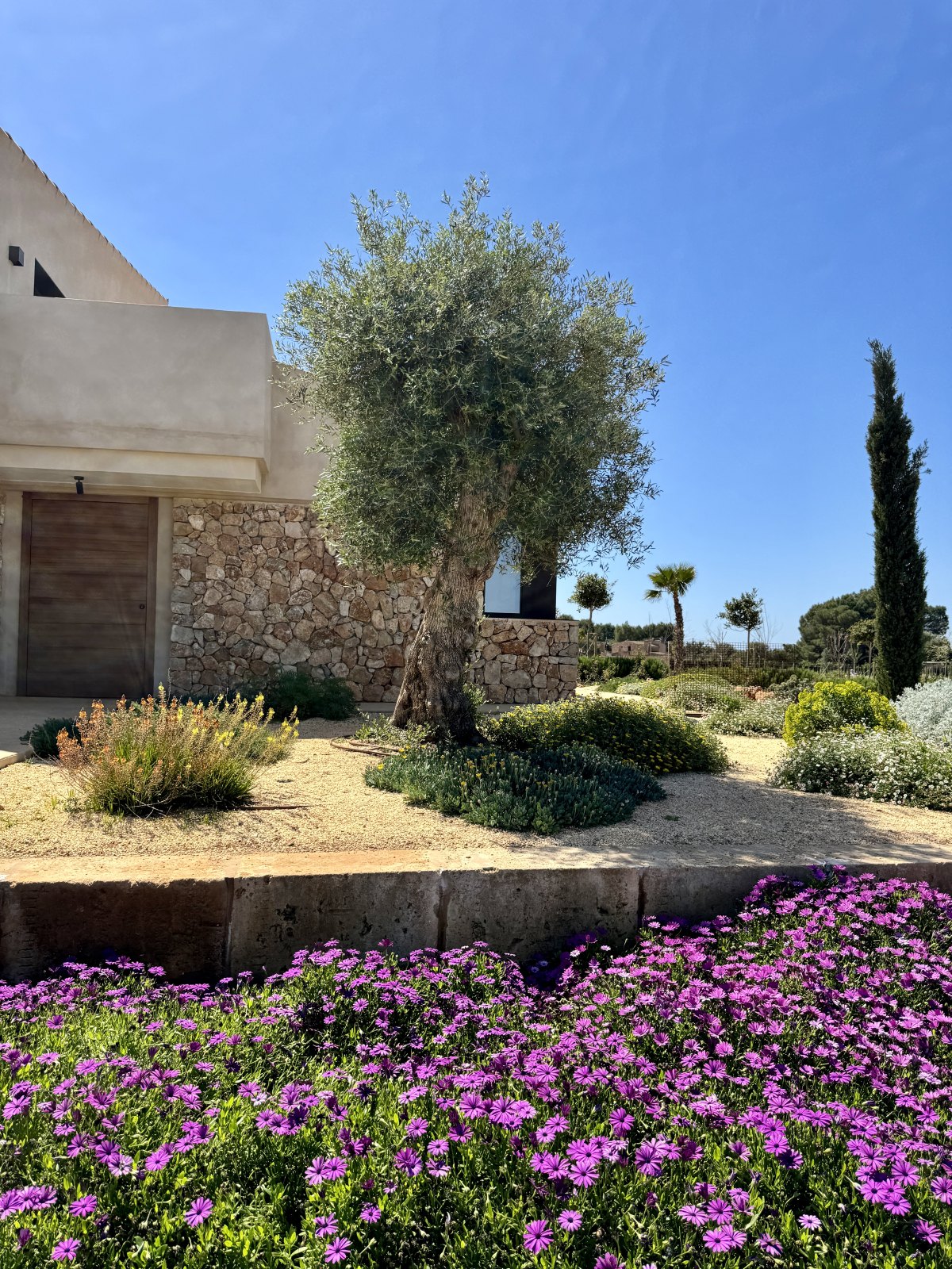 Finca Garden Campos — Garden Design Campos, Mallorca, Image 23