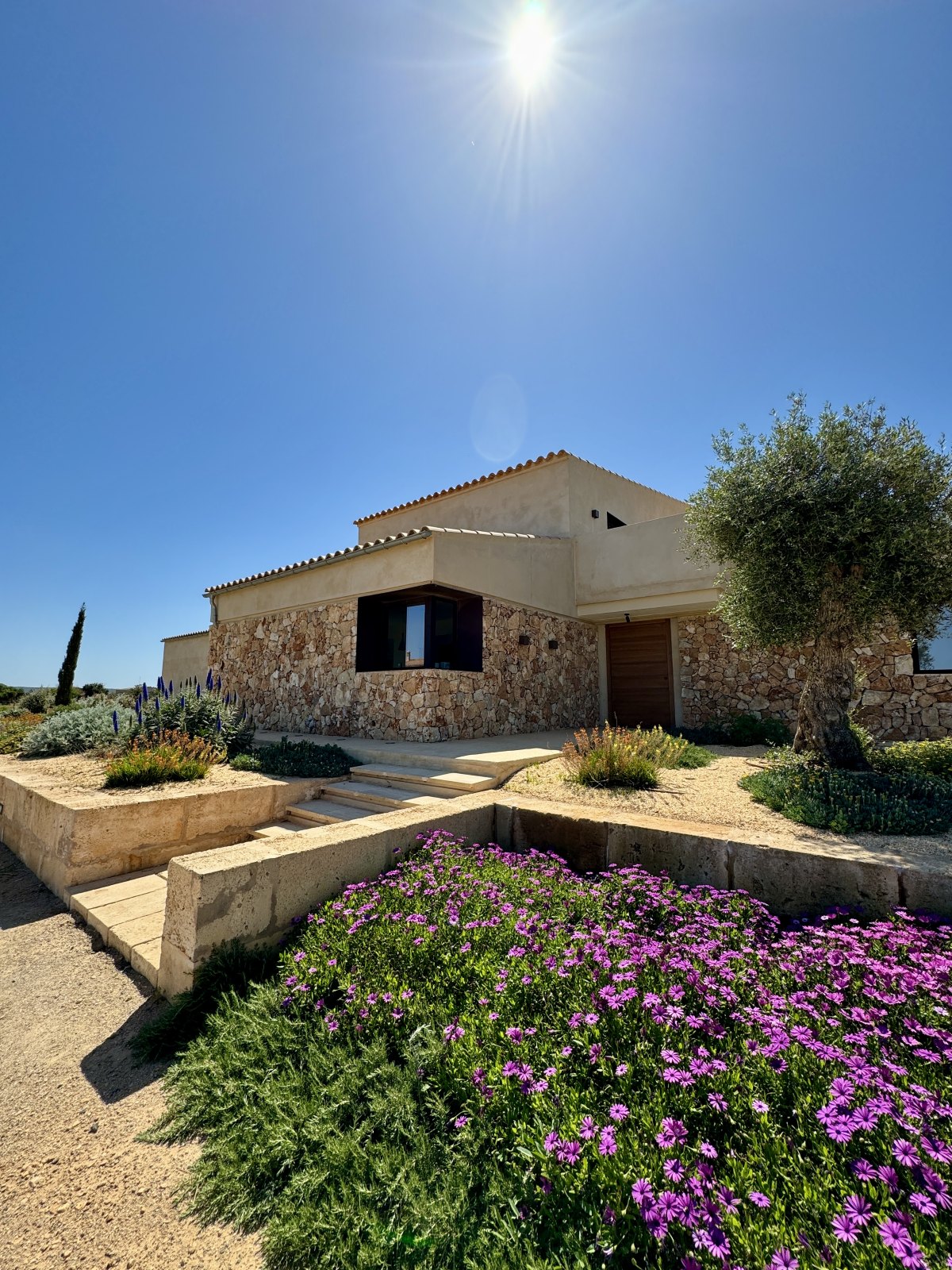 Finca Garden Campos — Garden Design Campos, Mallorca, Image 24