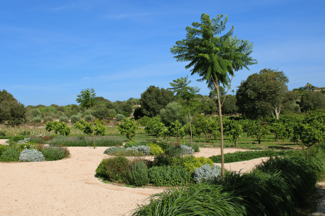 GARDEN LANDSCAPE DESIGN LLUBÍ MALLORCA SESTEPA DESIGN — Jardín Silvestre Llubí