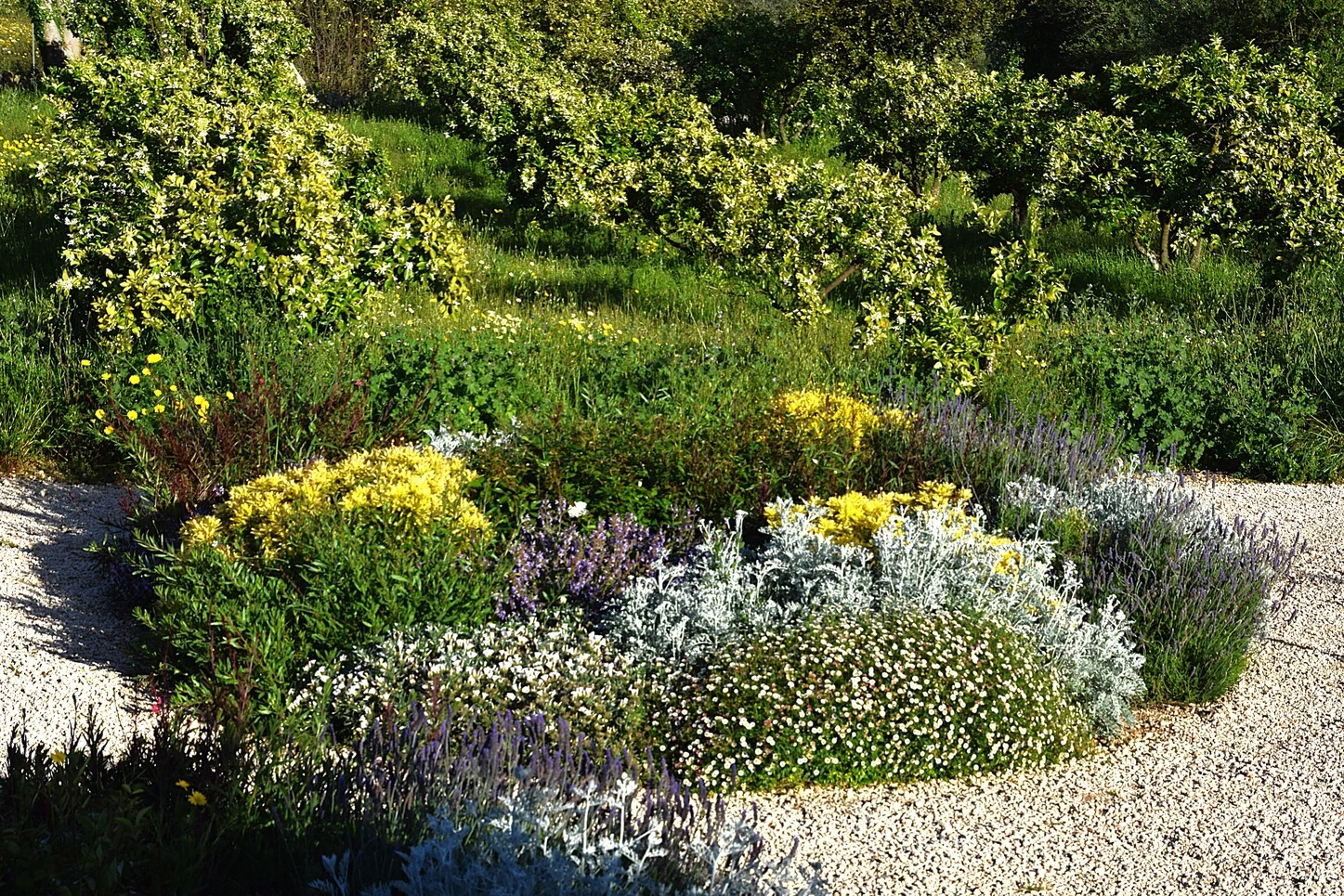 GARDEN LANDSCAPE DESIGN LLUBÍ MALLORCA SESTEPA DESIGN — Jardín Silvestre Llubí