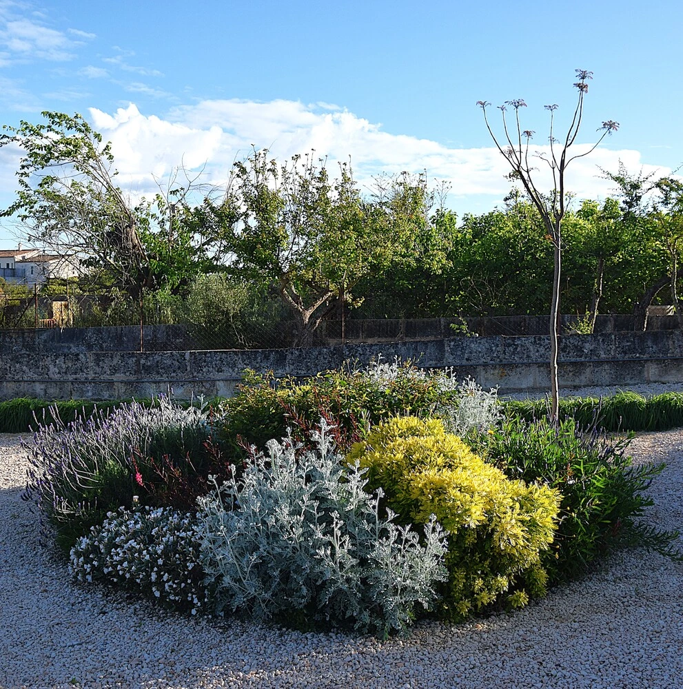 GARDEN LANDSCAPE DESIGN LLUBÍ MALLORCA SESTEPA DESIGN — Jardín Silvestre Llubí