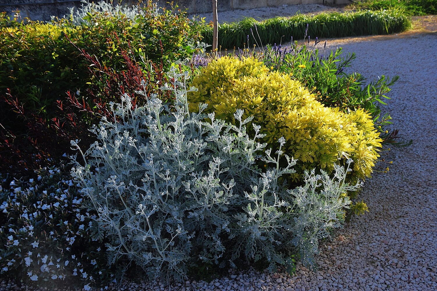 GARDEN LANDSCAPE DESIGN LLUBÍ MALLORCA SESTEPA DESIGN — Jardín Silvestre Llubí