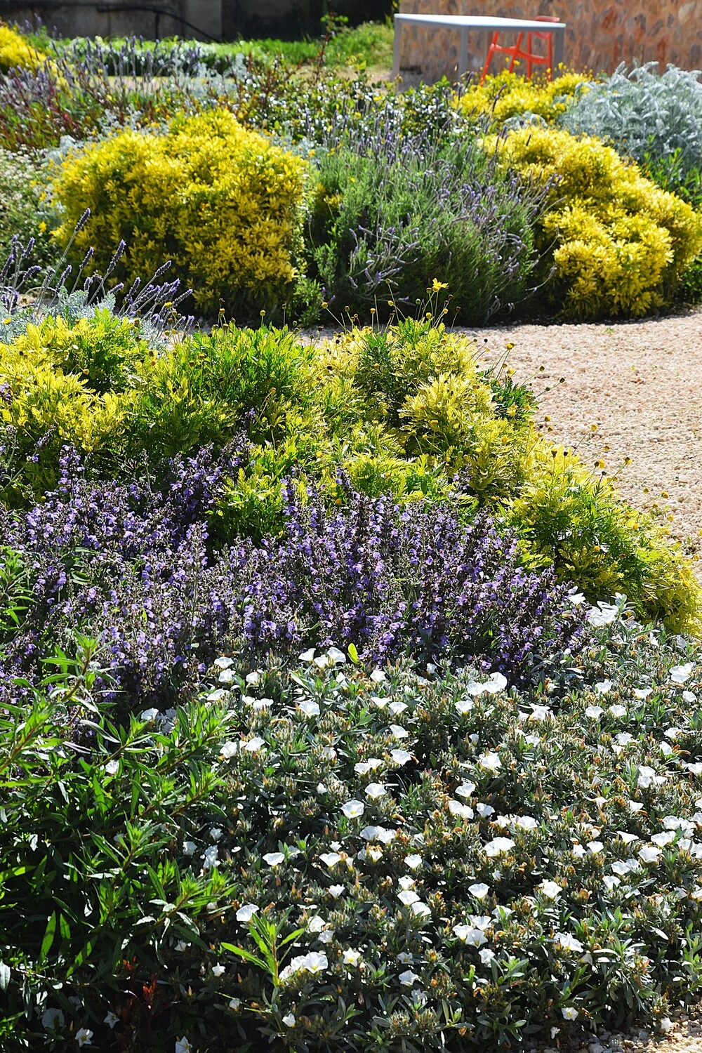 GARDEN LANDSCAPE DESIGN LLUBÍ MALLORCA SESTEPA DESIGN — Jardín Silvestre Llubí