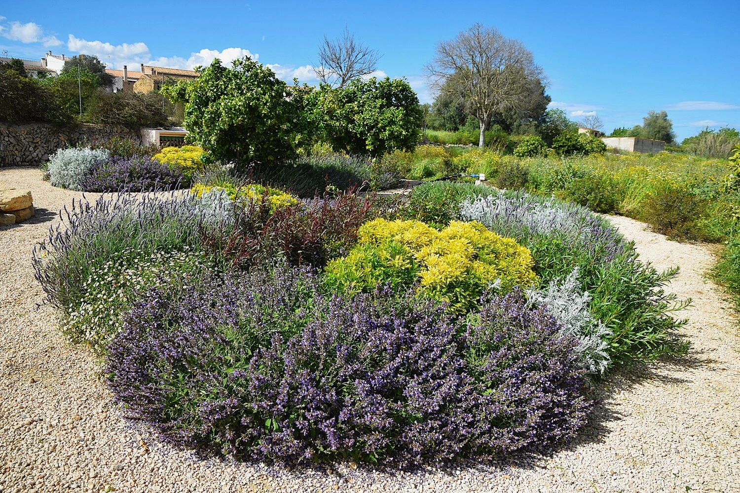 GARDEN LANDSCAPE DESIGN LLUBÍ MALLORCA SESTEPA DESIGN — Jardín Silvestre Llubí