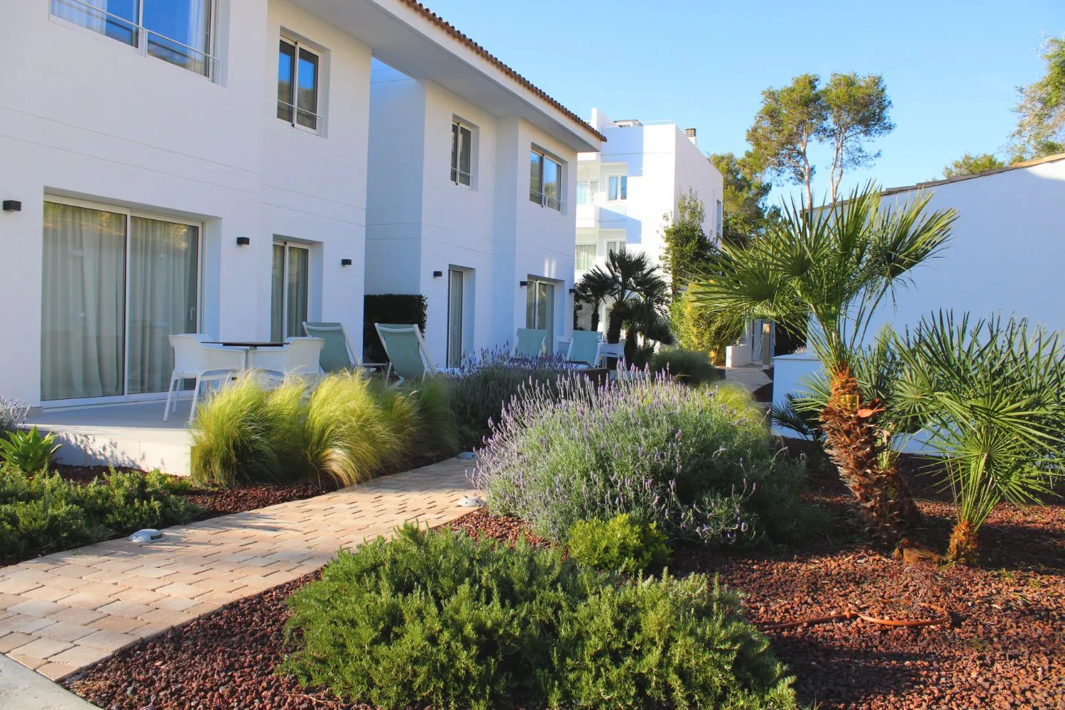 GARDEN LANDSCAPE DESIGN PUERTO POLLENÇA MALLORCA SESTEPA DESIGN — Hotel Cabot Las Velas