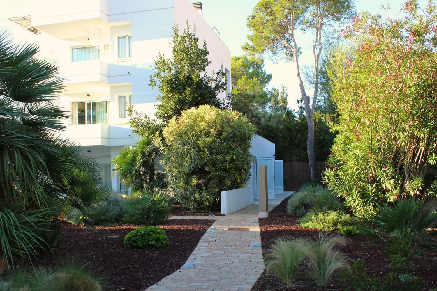 GARDEN LANDSCAPE DESIGN PUERTO POLLENÇA MALLORCA SESTEPA DESIGN — Hotel Cabot Las Velas