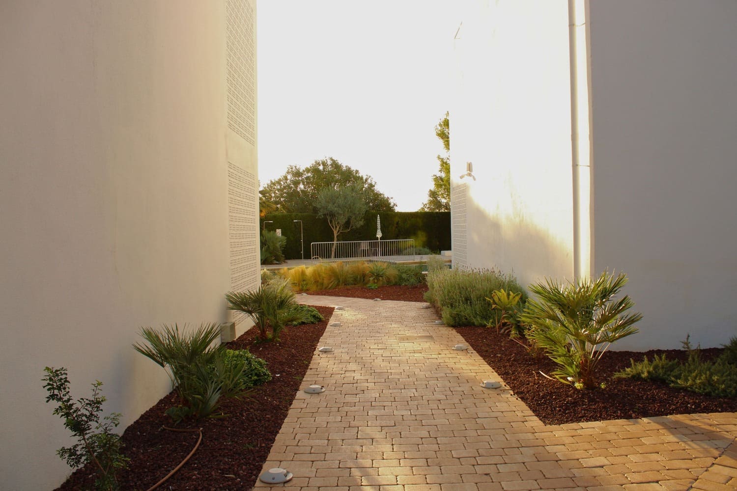 GARDEN LANDSCAPE DESIGN PUERTO POLLENÇA MALLORCA SESTEPA DESIGN — Hotel Cabot Las Velas