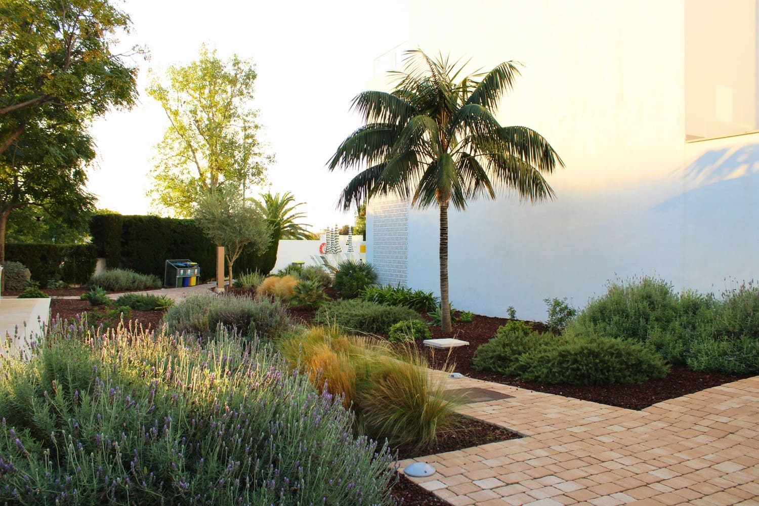 GARDEN LANDSCAPE DESIGN PUERTO POLLENÇA MALLORCA SESTEPA DESIGN — Hotel Cabot Las Velas