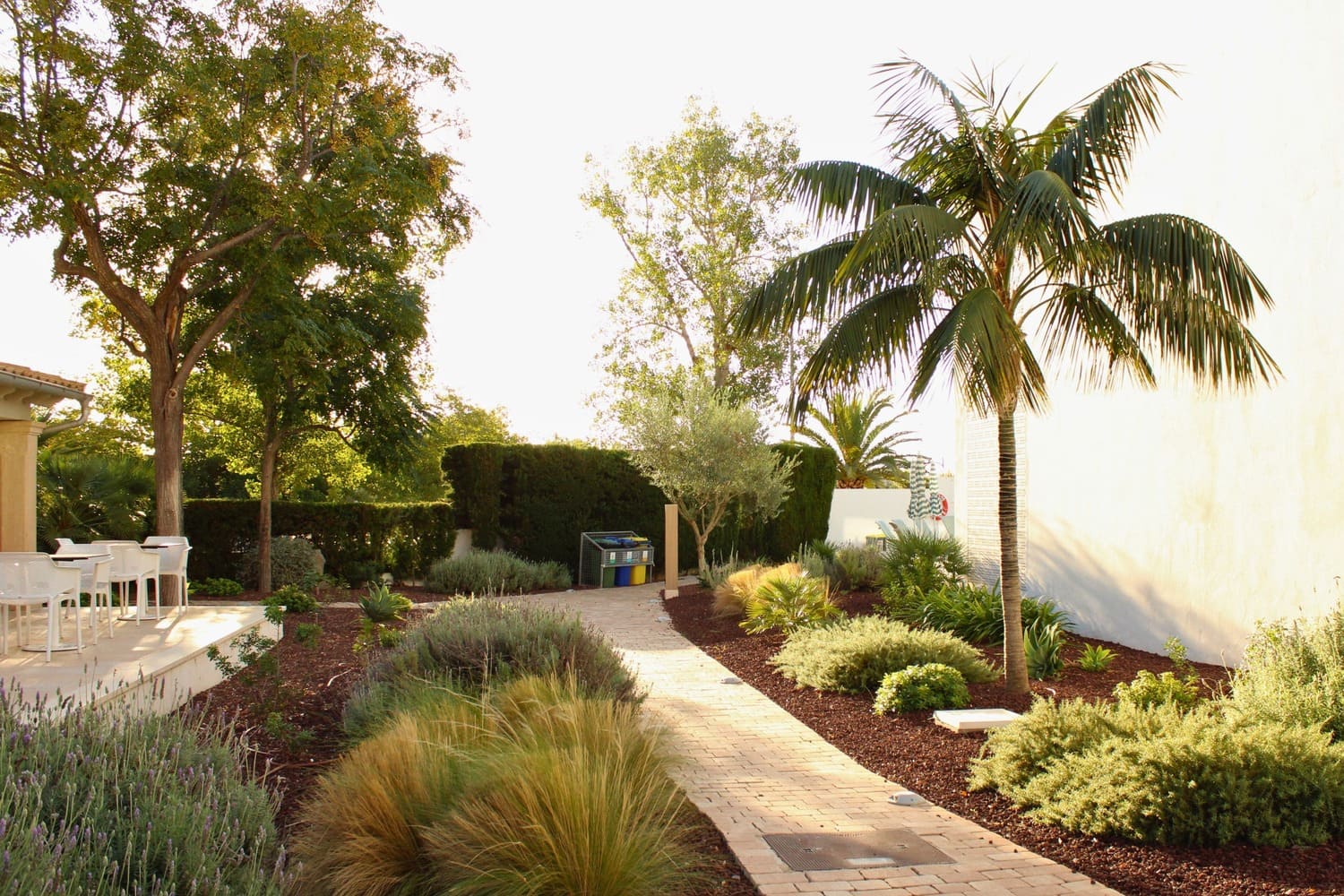 GARDEN LANDSCAPE DESIGN PUERTO POLLENÇA MALLORCA SESTEPA DESIGN — Hotel Cabot Las Velas