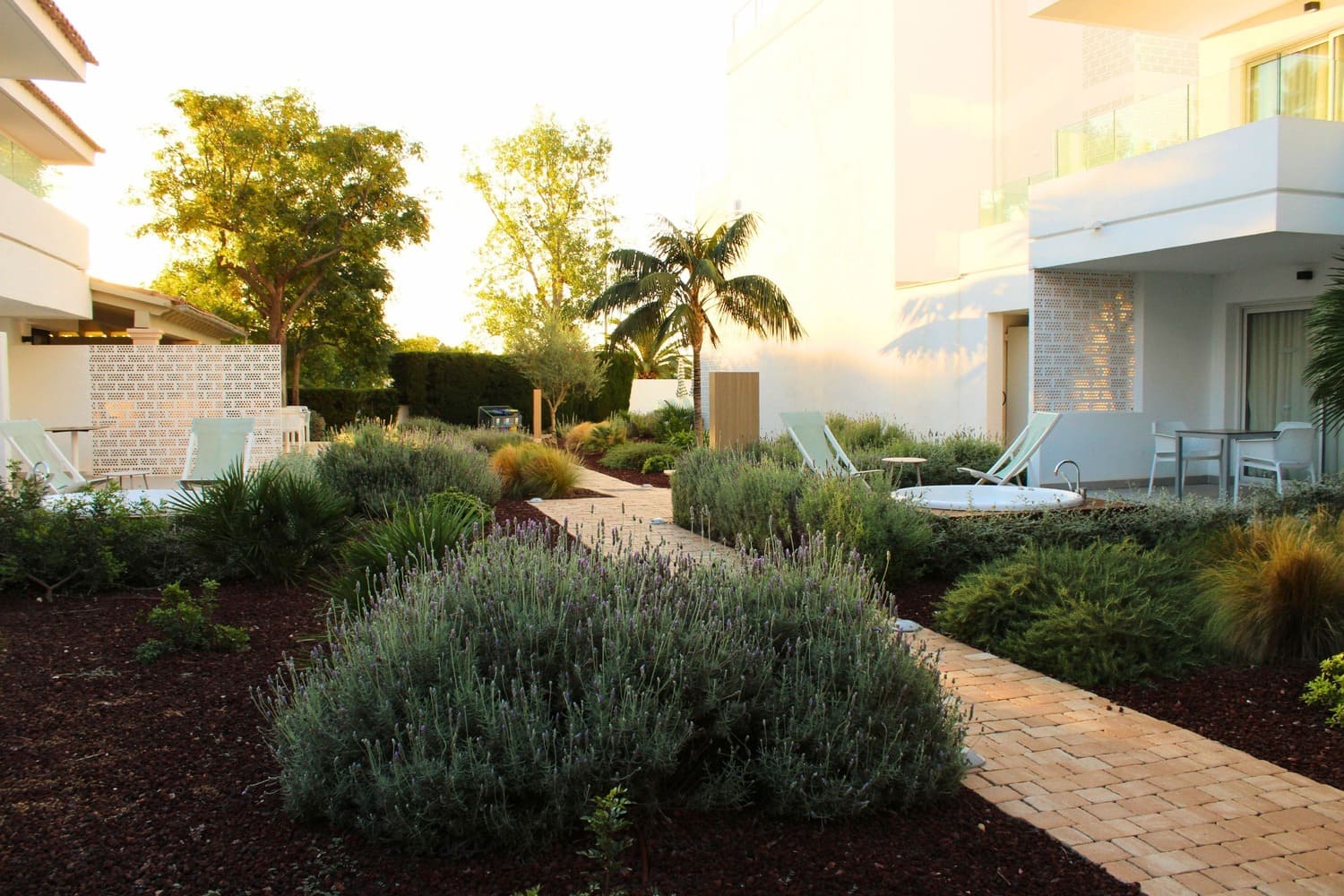 GARDEN LANDSCAPE DESIGN PUERTO POLLENÇA MALLORCA SESTEPA DESIGN — Hotel Cabot Las Velas