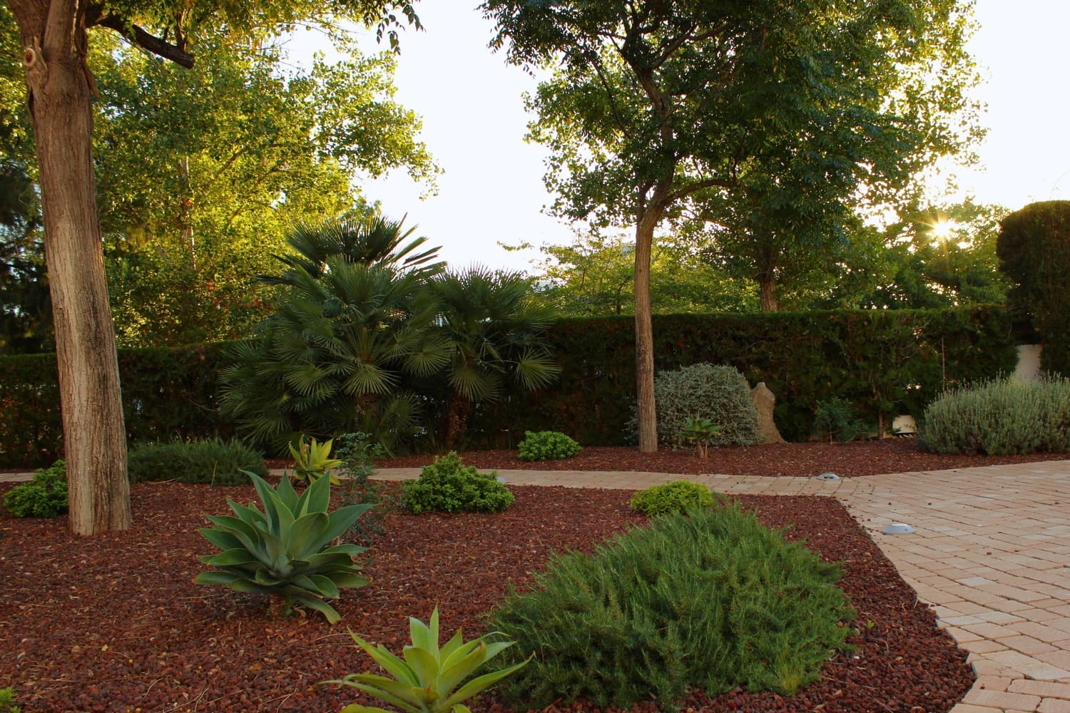 GARDEN LANDSCAPE DESIGN PUERTO POLLENÇA MALLORCA SESTEPA DESIGN — Hotel Cabot Las Velas