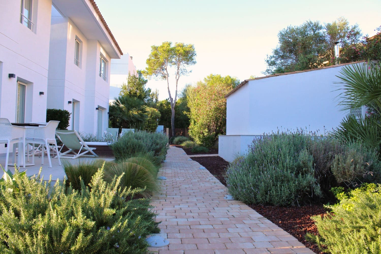GARDEN LANDSCAPE DESIGN PUERTO POLLENÇA MALLORCA SESTEPA DESIGN — Hotel Cabot Las Velas