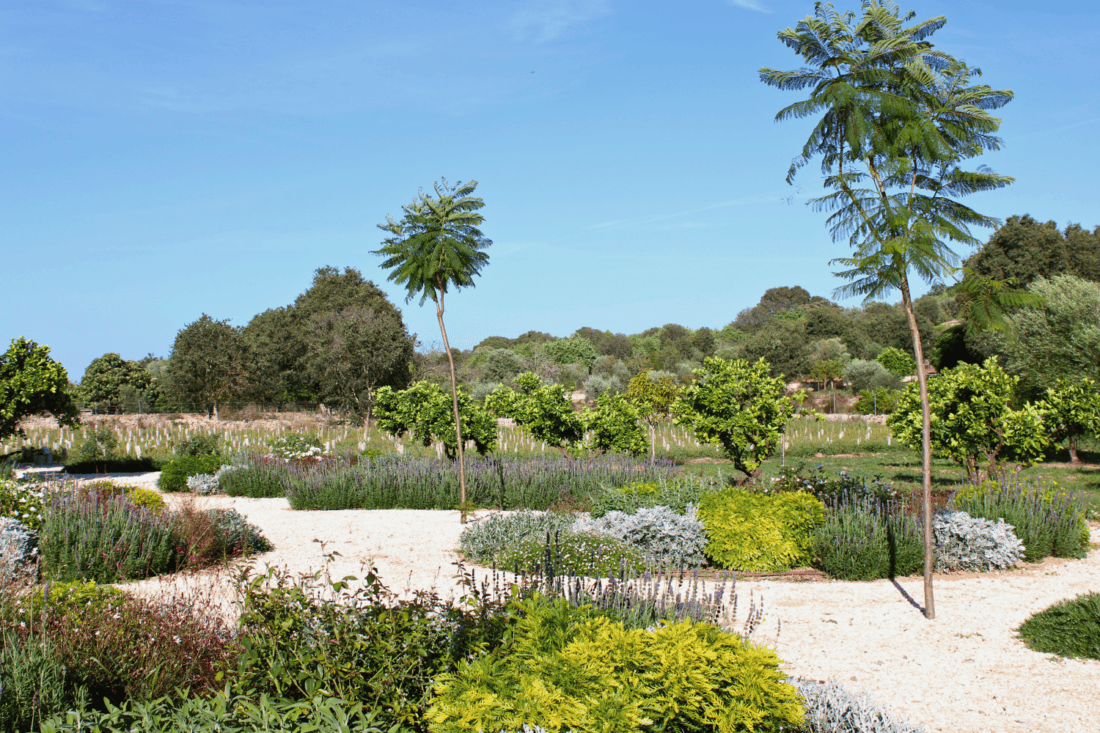 GARDEN LANDSCAPE DESIGN LLUBÍ MALLORCA SESTEPA DESIGN — Llubí Wild Garden