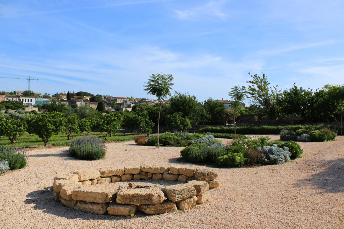 GARDEN LANDSCAPE DESIGN LLUBÍ MALLORCA SESTEPA DESIGN — Llubí Wild Garden