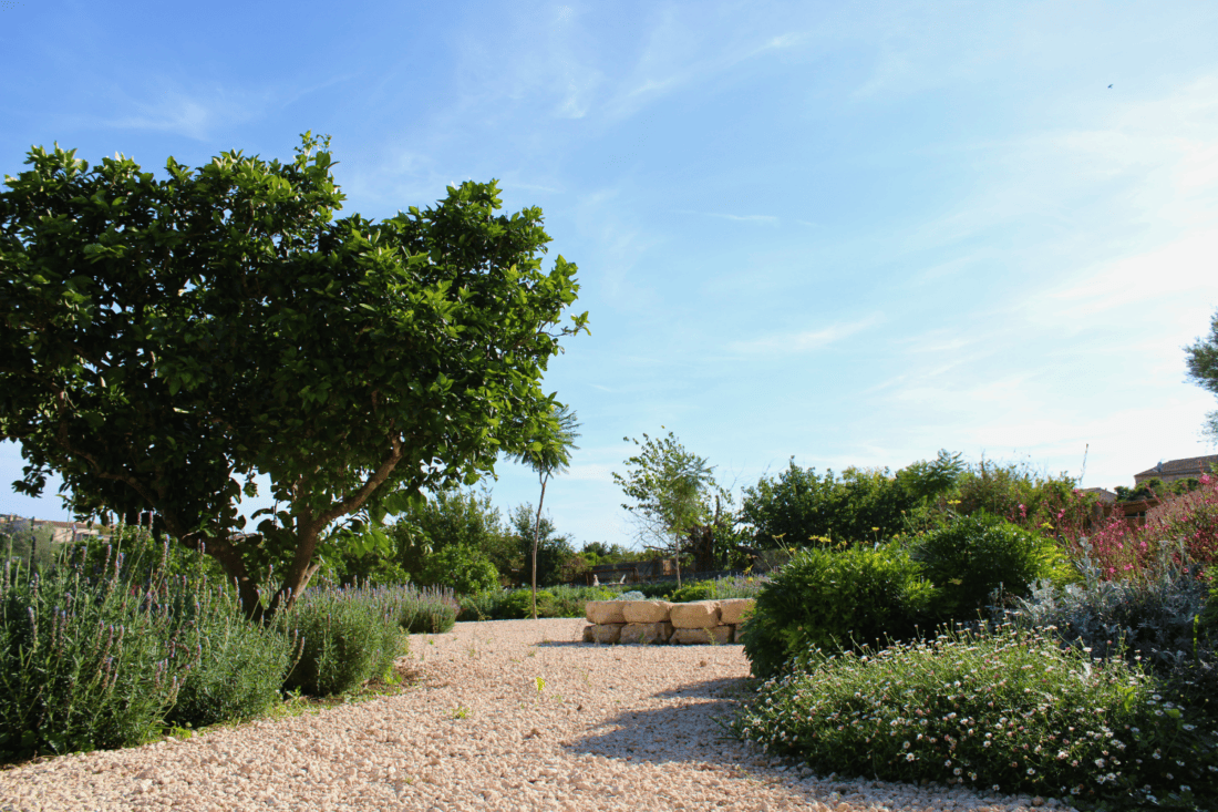 GARDEN LANDSCAPE DESIGN LLUBÍ MALLORCA SESTEPA DESIGN — Llubí Wild Garden